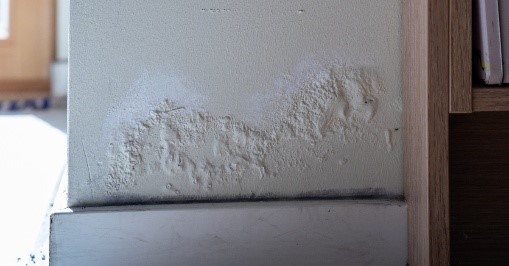 Rising damp on the wall