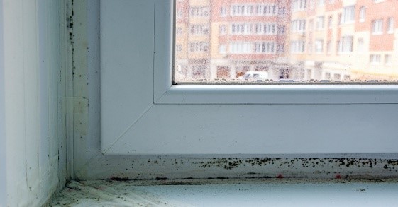 Condensation on window